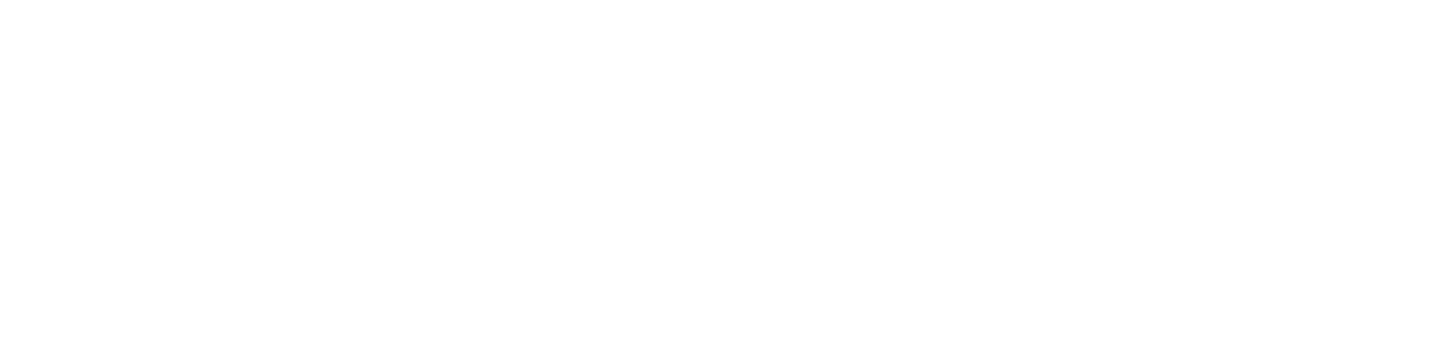 Ping